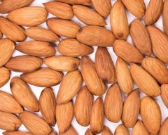 Normal Almond required in Haridwar