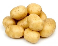 Jyoti Potato required in Kolar