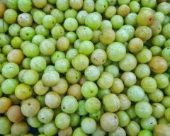Normal Amla required in Karur