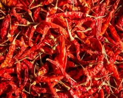Guntur Dry Chilli required in Kalaburagi