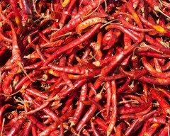 Kashmiri Dry Chilli required in Una
