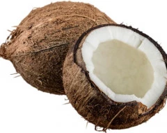 Large Coconut required in Coimbatore
