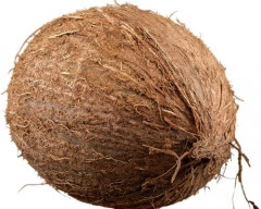 Large Coconut required in Tirupur