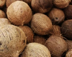 De Husked Coconut required in Namakkal