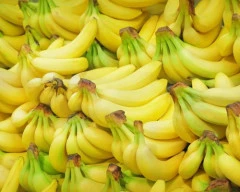 Robusta Banana required in Bengaluru Urban