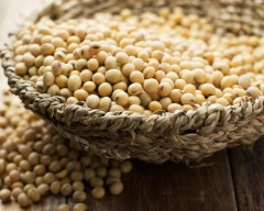 Normal Soyabean required in Latur