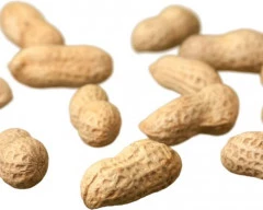 A Grade Quality Groundnut required in Botad