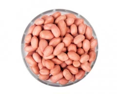 G20 Groundnut required in Jamnagar