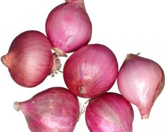 Red Onion required in Firozabad
