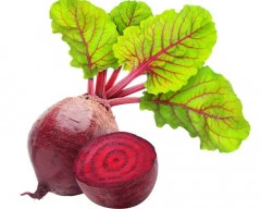 Hybrid Beetroot required in Tirupur