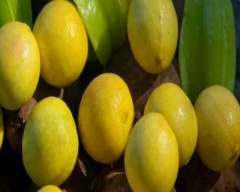 A Grade Quality Lemon required in Bengaluru Urban
