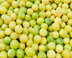 A Grade Quality Lemon required in Rangareddy