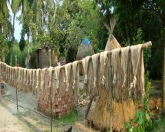 Td5 Jute required in Paschim Burdwan