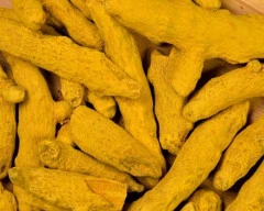 Erode Turmeric required in Una
