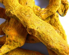 Erode Turmeric required in Ghaziabad