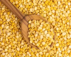 Indian Chana Dal required in Uttar Dinajpur