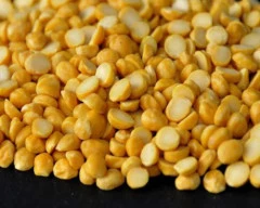 Indian Chana Dal required in Gadag