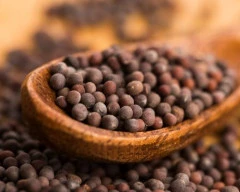 Brown Mustard required in Darbhanga