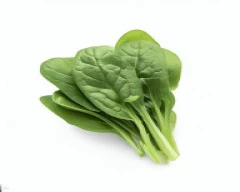Normal Spinach required in Pune