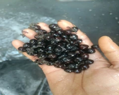Normal Makhana for sale in Madhubani