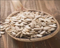 Normal Sunflower Seed for sale in Gurugram (Gurgaon)