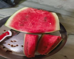 Hybrid Watermelon for sale in Guntur