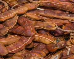 A Grade Quality Tamarind for sale in Durg