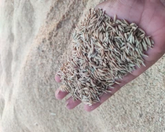 RNR 15048 Paddy for sale in Tiruvannamalai