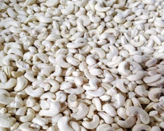 W - 320 Cashew for sale in Tiruvallur