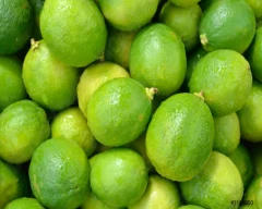 A Grade Quality Lemon required in Tiruvallur