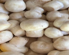 Button Mushroom for sale in Sahibzada Ajit Singh Nagar