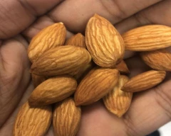 California Almond for sale in South West Delhi