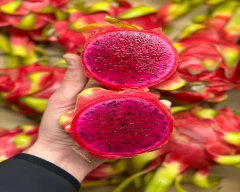Red Dragon Fruit for sale in Bijnor