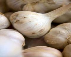 A Grade Quality Garlic for sale in Darjeeling