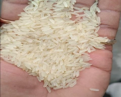 Swarna Mansoori Rice for sale in South West Delhi