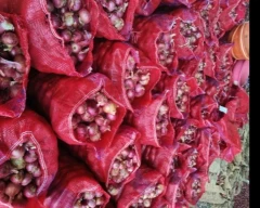 Nasik Onion for sale in Nashik