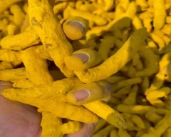 Allepey Finger Turmeric for sale in South West Delhi