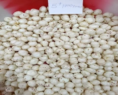5 Suta Makhana for sale in Purnia