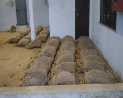 3797 Potato required in Agra