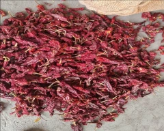 Kashmiri Dry Chilli for sale in Gadag
