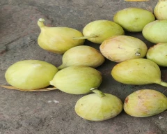 Fresh Fig for sale in Karnal