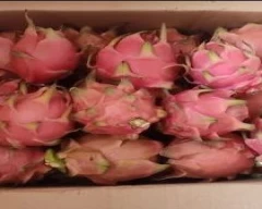 Red Dragon Fruit for sale in South West Delhi