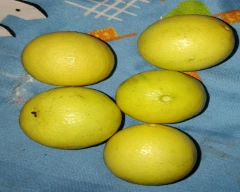 B Grade Quality Lemon for sale in Bhavnagar