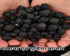 5 Suta Makhana for sale in Katihar
