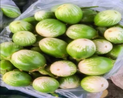 Normal Brinjal for sale in Damoh