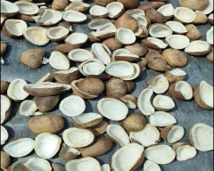A Grade Quality Copra for sale in Chennai