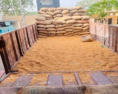 A Grade Quality Maize for sale in Banka