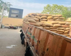 B Grade Quality Maize for sale in Khagaria