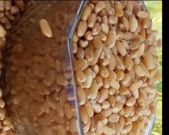 A Grade Quality Wheat for sale in South West Delhi