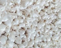 A Grade Quality Garlic for sale in Mandsaur